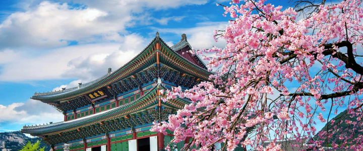 DU HỌC HÀN QUỐC 2025-2026: CHI PHÍ, ĐIỀU KIỆN VÀ LỘ TRÌNH